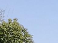 7月5日起京津冀等地高溫發展 局地可超40℃