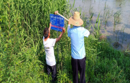 金安區(qū)望城街道：防溺水，他們有妙招