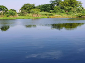 宜秀區白澤湖鄉獨秀社區：黨建引領基層治理，促鄉村振興