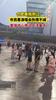 合肥暴雨刚过市民看演唱会热情不减奥体中心周边人流量大