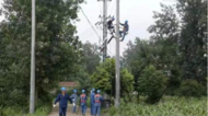 淝南鎮蒲林村：電力幫扶點亮鄉村振興之光