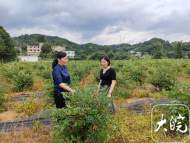 太湖縣義安村：新時代文明實踐“小陣地”服務“大民生”