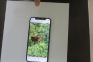 男子上山撿菌遇老虎打架？云南警方回應