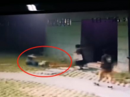 “合肥一女子遛狗不牽繩咬傷他人”后續(xù) ：社區(qū)建議走法律程序