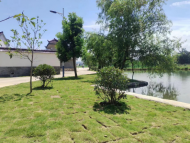 懷寧縣清河鄉：推動人居環境整治，共建美麗宜居家園