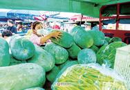 阜陽：每天2000多噸蔬果豐盈市民餐桌
