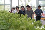 總編輯看無錫 | 科技加碼，陽山“甜蜜事業”煥發新活力