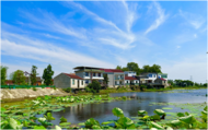 懷寧石牌：讓文明之花綻放在石牌大地