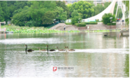 臺風“杜蘇芮”不消停，或將影響阜陽市