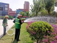瑤海園林抗旱保綠為苗木“消暑解渴”