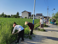 濉溪縣四鋪鎮：文明創建“擦亮”鄉村振興“底色”