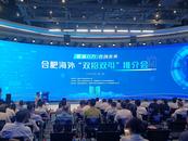 合肥舉辦海外“雙招雙引”推介會 聘請六名僑領為“大使”