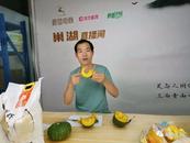 巢湖三人上榜“安徽省鄉村振興青年先鋒”名單
