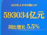 今年上半年中國GDP同比增長5.5%