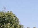 合肥8月1-7日多云为主 白天气温较高