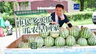 市民多买瓜 瓜农早回家