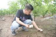 淮北报告一例因食用野生蘑菇中毒病例