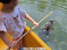 南京一景区推出“钓”鳄鱼项目 还有“人鳄共浴池”特色体验？多部门回应