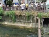 江西上饒一河中驚現(xiàn)碎尸？警方回應(yīng)：已趕赴現(xiàn)場勘查