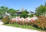 河溜鎮(zhèn)：資源稟賦植入經(jīng)營理念 鄉(xiāng)村振興乘勢“提速升級”