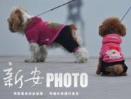 關(guān)于“大學(xué)生免費(fèi)幫遛狗” 這些問題了解一下