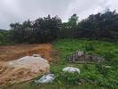 为烈士新建墓碑疑因“风水问题”遭破坏 警方正调查