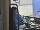 7月19日起，合肥市508路、40路公交线路有调整
