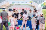 2023合肥蜀山采摘節開幕 小廟六千多畝瓜果等你來