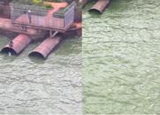 昆明滇池魚群死亡漂浮水面，滇池管理局回應