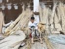 牢记嘱托 皖美答卷｜安徽阜南：“小杞柳”变身村民增收“大产业”