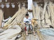 牢記囑托 皖美答卷｜安徽阜南：“小杞柳”變身村民增收“大產業”