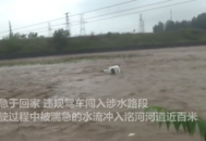 男子違規駕車沖入河道  水流一度沒過車頂 河北消防飛索營救