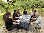 政協江淮行 | 協商正“碭”時  智慧農業打響碭山“梨名片”