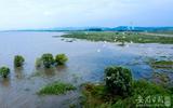 合肥已投资近60亿元保障环巢湖湿地保护修复