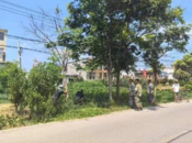 荊山鎮(zhèn)：枯死樹木大清理提升全鎮(zhèn)“顏值”