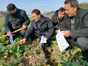 懷寧縣雷埠鄉(xiāng)：“三聚焦”抓實基層人才引育工作