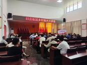 宜秀區五橫鄉曰公社區：黨建帶團建，為鄉村振興“團”聚青春力量