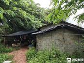 女子疑遭強奸  因證據不足未立案自殺