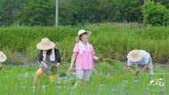 貴池民歌情景劇《插秧情結(jié)》獲池州市級非遺資金扶持