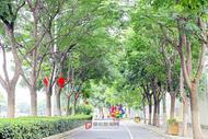 三伏天接近尾聲，阜陽雷陣雨緊隨其后