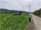 懷寧清河：堅持做到“三個到位”，扎實開展夏播農(nóng)作物遙感測量工作