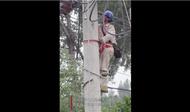 國網北京電力搶修人員鏖戰“北潞園”