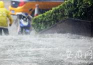 今明兩天安徽大別山區和沿江江南有小雨 局部大雨