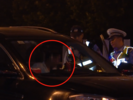 最后一段路自己驾驶   合肥闫某酒后叫代驾仍被抓