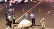 洛陽不明物體將地面砸出坑?  當地回應系農用氯化銨