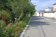 淮南市田集街道：全面改善人居環(huán)境  擦亮鄉(xiāng)村振興底色
