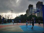 全民健身日來了，合肥免費開放場館預約火爆