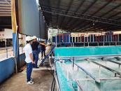 懷寧縣雷埠鄉開展有限空間作業專項整治工作