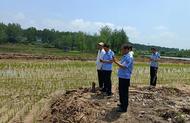 鳳臺縣新集鎮(zhèn)人大助力圖斑整改 夯實糧食安全根基