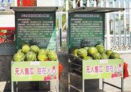 廬江縣城“無人瓜攤”5天售出8000斤西瓜